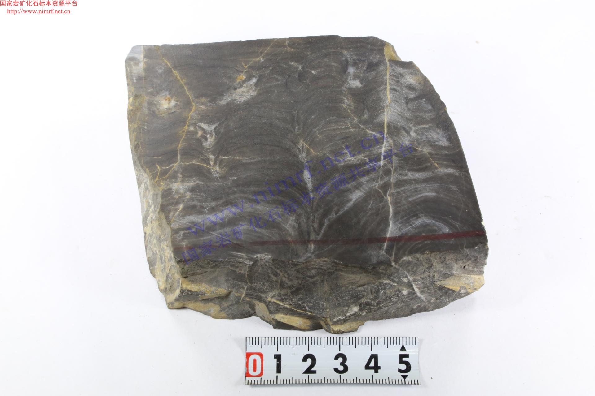 叠层石_Laminated limestone_国家岩矿化石标本资源共享平台